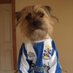 htafcedits (@htafcedits) Twitter profile photo htafcedits (@htafcedits) Twitter profile photo