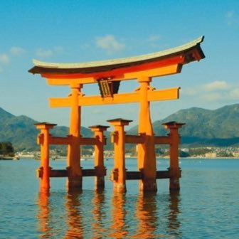 “安い”だけじゃない、“満足度の高い”宿やフェリーを実際に体験してご紹介。 値段以上の感動を求めて、日本中を旅しています⛴️ 🏨 旅好きも節約派もきっと満足できる—— “コスパの宝探し”、始めました。 #コスパ旅ハンター YouTubeも観てね