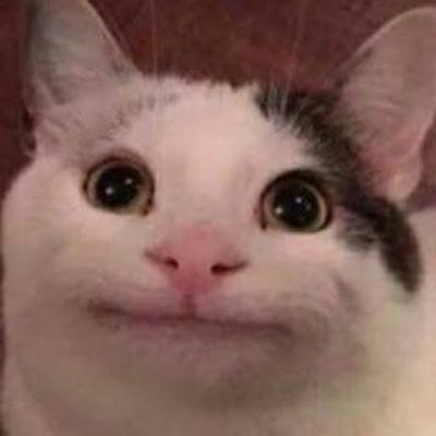 BakaBeluga55785's profile picture. 