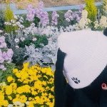 交換垢として使ってます