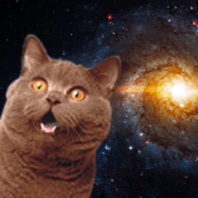 oyu_offf's profile picture. ォクバデが好きでどうしようもなくなり、叫び散らかした後に作成したアカウント。🐟ctionも好き（深海）プロの壁打ち🎾🏸相手固定 20↑ https://t.co/U1PVGf2OJB