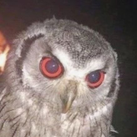 ZazaFilin's profile picture. La la la la