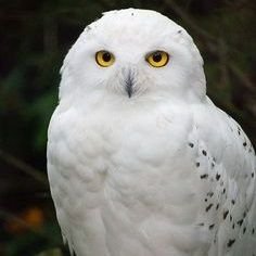 199943_sa's profile picture. H11/165/56/ISFJ
🍌パイパンにしてます🍑
開発してくれる方いませんか🫣