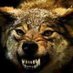 bozkurt (@bozkurt1443795) Twitter profile photo bozkurt (@bozkurt1443795) Twitter profile photo