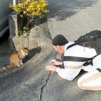 かずなり (@narinaricxp) Twitter profile photo