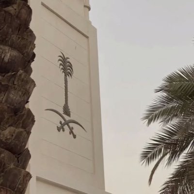 reman1200's profile picture. متدربة في @jtc_ksa | بكالوريوس قانون من @kauedu_sa | مهتمة بتعلم الحوكمة والتحكيم | أسعى للتطور المهني ✨