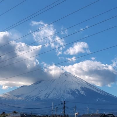 present20250103's profile picture. 懸賞当選目指して日々頑張っています！
今年は46当選（11月現在）