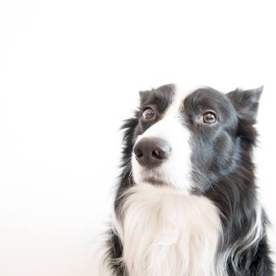 Méliès Profile