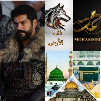 ذئب الأرض المنسي (@dhybalard22260) Twitter profile photo