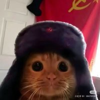 Gavin Gregerson (@gregersongavin) 's Twitter Profile