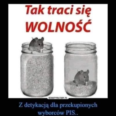 mkowal19781927's profile picture. 