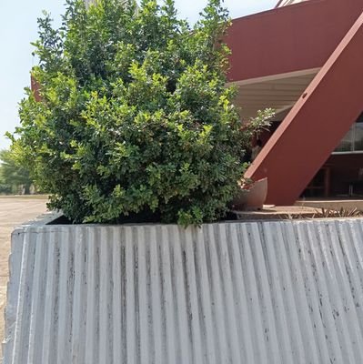 Cryptodesk0's profile picture. More than a chart-watcher, less than a moonboy. I move with patience, value real conviction, and avoid noise no matter how loud the timeline gets. 🚀🧠