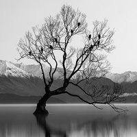 Luke Hobbs (@lukehobbsdr) 's Twitter Profile Photo