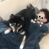 saru5000c (@saru5000c) 's Twitter Profile