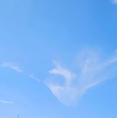 Blue skyさんのプロフィール画像