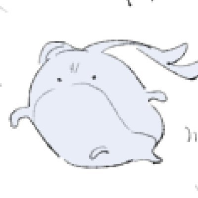 P Profile