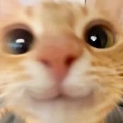 Hopefully_FinToneさんのプロフィール画像