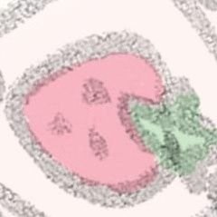 찌さんのプロフィール画像