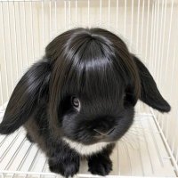 gracie ghoul (@grac1egh0ul) 's Twitter Profile