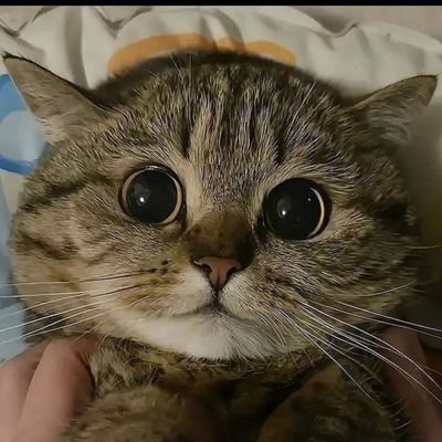 DARKY_UPDATE's profile picture. All updates of the best ita @Darkyfnbr1🐐| follow pls❗️