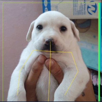 xhetoss's profile picture. 