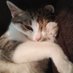 maidnight (@maidnight_) Twitter profile photo maidnight (@maidnight_) Twitter profile photo
