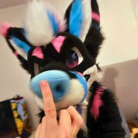 Alta!! 🔜 Pawske, MFF (@altawoof) 's Twitter Profile Photo Alta!! 🔜 Pawske, MFF (@altawoof) 's Twitter Profile Photo
