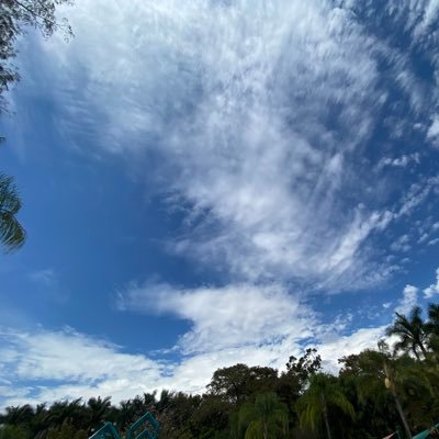 sptecnicodiresa's profile picture. 