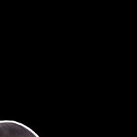 @ (@anpmnp213) 's Twitter Profile