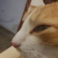 any-low-be (@cv54739064) 's Twitter Profile Photo any-low-be (@cv54739064) 's Twitter Profile Photo