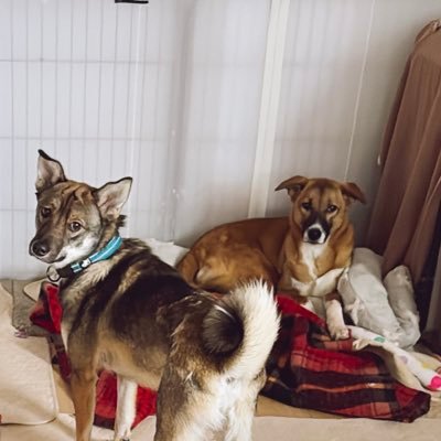 AyaS10000's profile picture. 