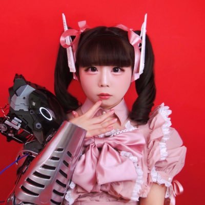 イヴにゃんローラーコースター (@nyanderland1114) / X