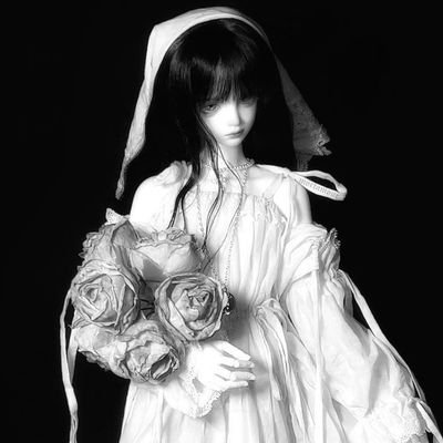 krimiundeshkua's profile picture. 🫩🫩🫩