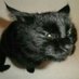 killer queen (@kqbase2006) Twitter profile photo killer queen (@kqbase2006) Twitter profile photo