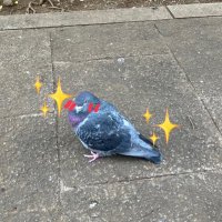ヨンドゥ✨🌱 (@yondo_jomiryo) 's Twitter Profile