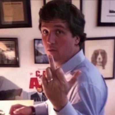 monicalezynski's profile picture. pure-blooded american & mountaineer