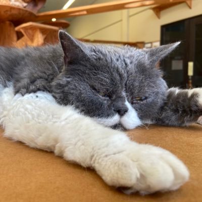 tabitukudani's profile picture. (20)大学生 🇹🇭🇹🇷🇲🇳