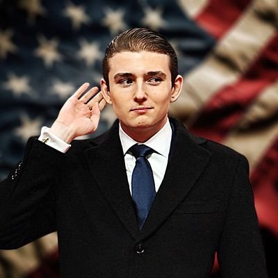 btrump__'s profile picture. Introv son 
MAGA
