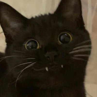 IYuseonr's profile picture. skizo.tred || mostly trade BTC