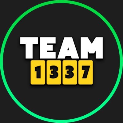 Team1337 Profile