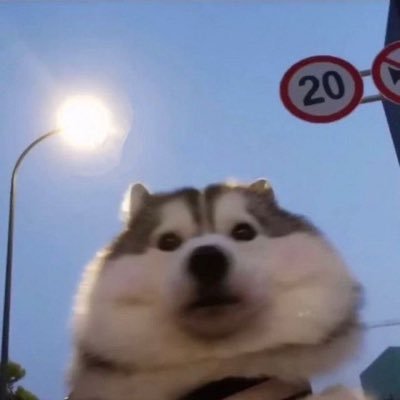Nidnoipoip60887's profile picture. bruhhh