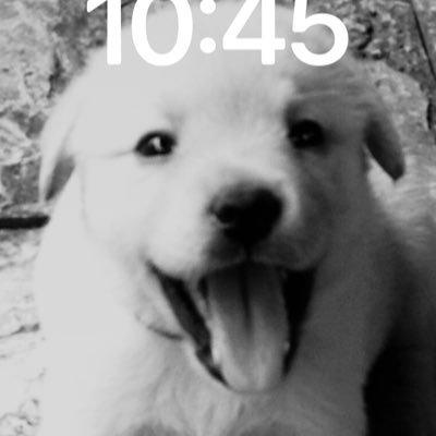 rmnixon741776's profile picture. 