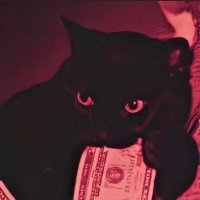 Dogman (@hwt1230) 's Twitter Profile