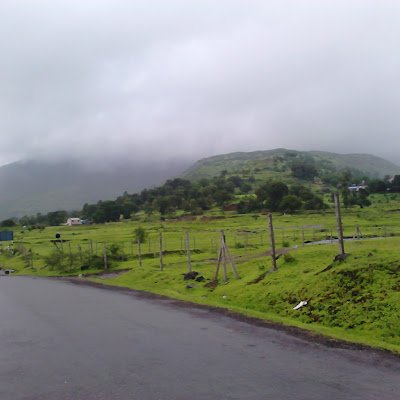 jadhav_gir84939's profile picture. 