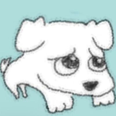 kiklxg's profile picture. 