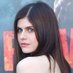 Alexander Daddario (@alexx025456) Twitter profile photo Alexander Daddario (@alexx025456) Twitter profile photo