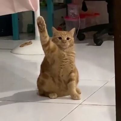 WREKTYRANGOVJ4F's profile picture. 