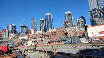 Moiseso13215090's profile picture. 