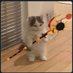 Liz (@rnsliz) Twitter profile photo Liz (@rnsliz) Twitter profile photo