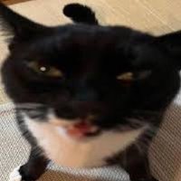 Cydrafinity (TADC ๐) (@gangletops) 's Twitter Profile